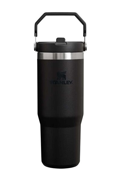 Genericc STANLEY IceFlow 30 oz Stainless Steel Tumbler with Leak-Resistant Fl...