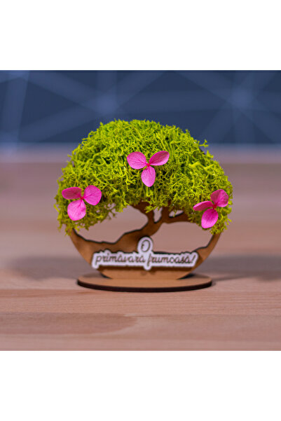 Creators of Crafts Pomisor Cu Licheni Si Suport- O Primavara Frumoasa