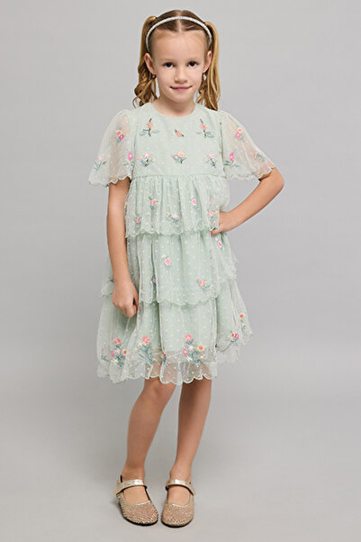 R&B Embroidered Layered Dress With Crew Neck And Flared Sleeves