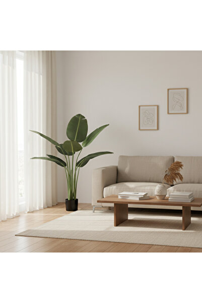 Roots Furniture شجرة الموز