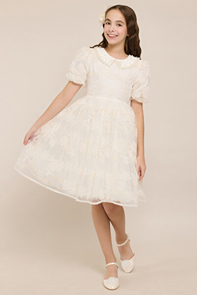 R&B Laced Fit & Flare Dress With Peter Pan Collar And Puff Sleeves