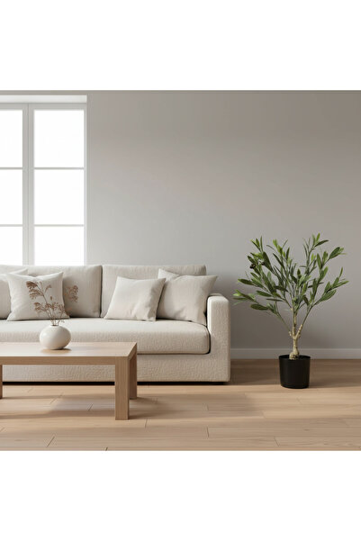 Roots Furniture شجرة زيتون 60 سم