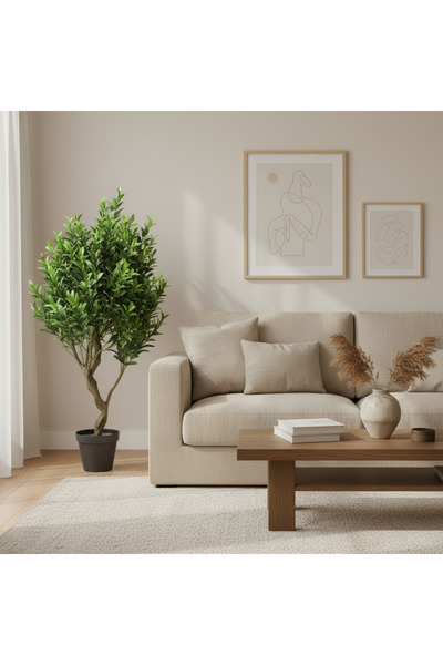 Roots Furniture شجرة زيتون اصطناعية