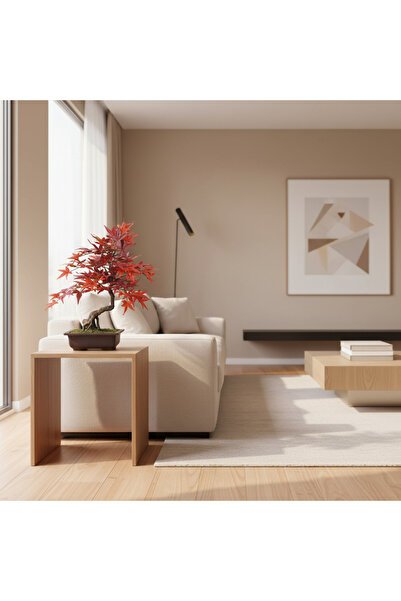 Roots Furniture شجرة قيقب أحمر جميلة مزروعة في أصيص، طولها 53 سم، مناسبة للزر...