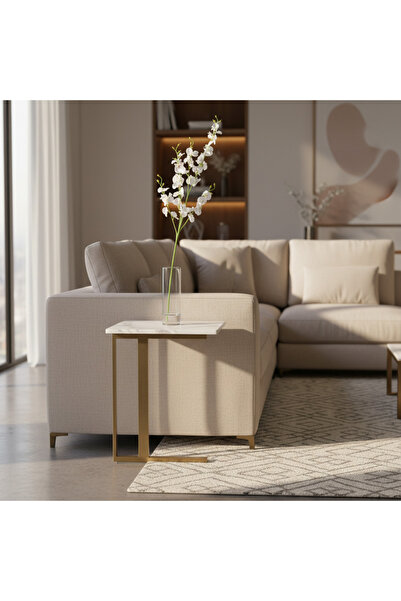 Roots Furniture زهرة الأوركيد الراقصة