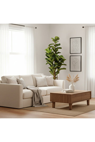 Roots Furniture شجرة التين الورقية