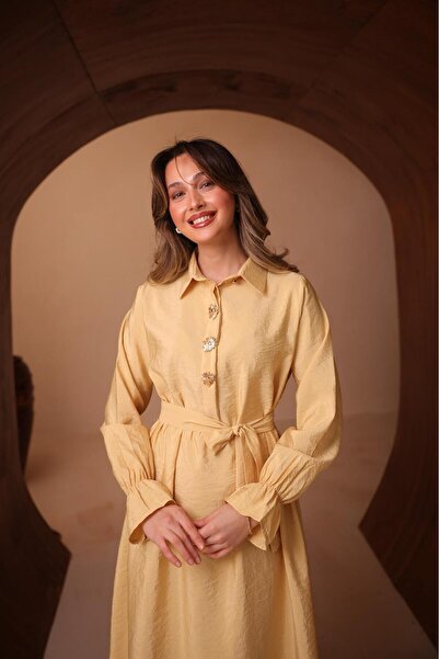 VOICTEC Women's Premium Quality Cupra Shirt Collar Dress