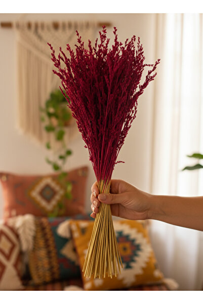 Hidden Botanics Fuşya Renkli Kuru Çiçek Deniz Süpürgesi - 50-60 cm Dekoratif ...