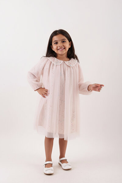 SOULTAN Net Transparent Floral embroidered Dress for Girls