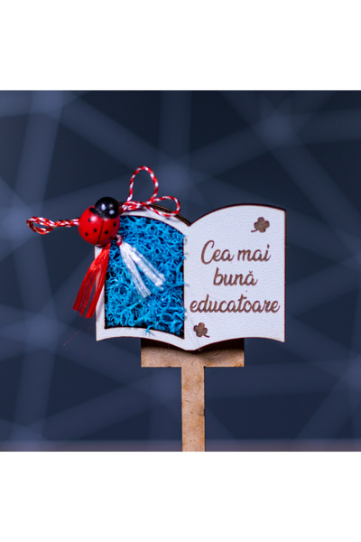 Creators of Crafts Martisor Magnet Cu Licheni Pentru Educatoare- Model Carte