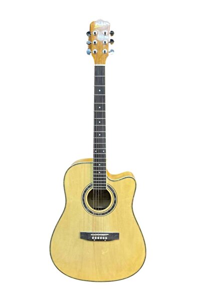 Tree Root Classical guitar, model number TR-403, brown color