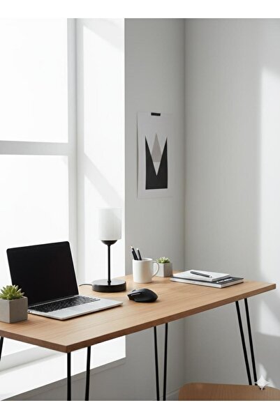 BİAVİZE White Glass Headed Chrome Lamp Shade