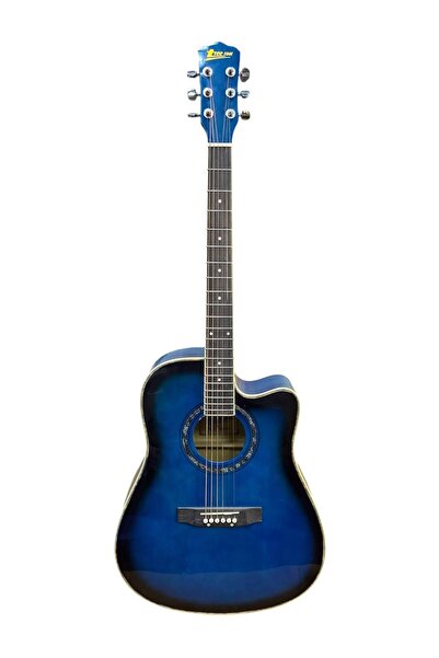 Tree Root Classical guitar, model number TR-403, blue color