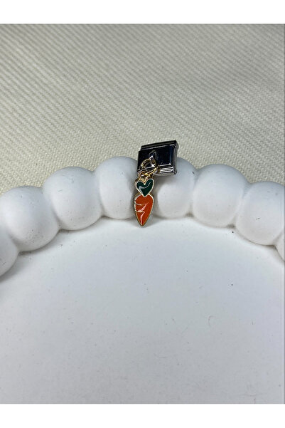 stainless steell Nomi Italian Bracelet Silver Plate Colorful Enamel Dangle Charm