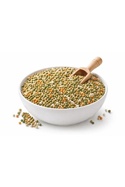 ICL Osmocote Akıllı Gübre Yavaş Salınımlı 9 Ay (50 g)