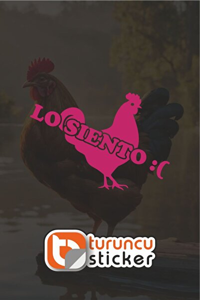 Turuncu Sticker LO SIENTO :( WİLSOON... Sticker Etiket 20x14 cm – Araç – Moto...