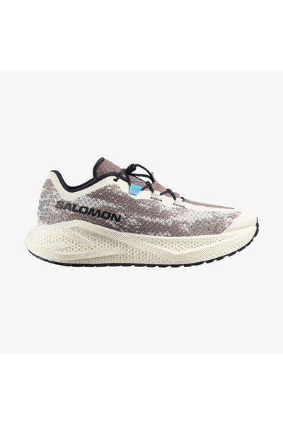 Salomon AERO GLIDE 4 GRVL Erkek Koşu Ayakkabısı Vanilla Ice L49174900