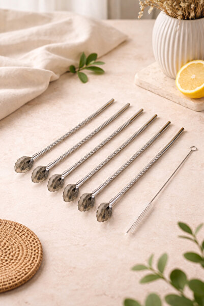 DİVAYS Set of 6 Stainless Steel Spoon Straws with Leaf Tips + Cleaning Brush