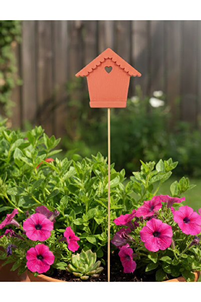 Evendi Accesoriu decorativ, Corai