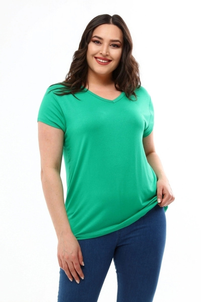 aytemas V-Neck Basic Blouse