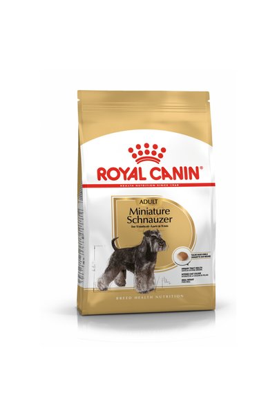 Shn Schnauzer de rasă 3 kg