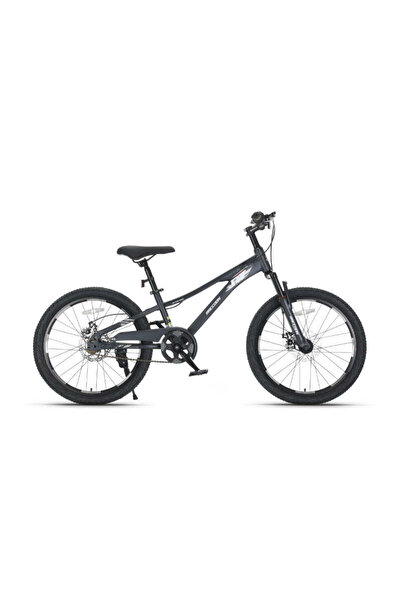 raccoon Bicycle 22 Inch Grey