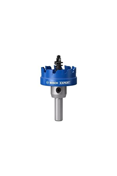 Bosch Expert 45 mm Elmaslı Inox Panç Adaptörlü 2608901428o