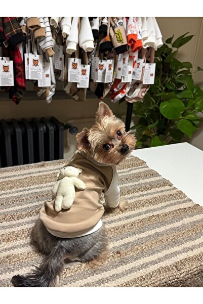 Sevimli Ayıcık Detaylı Köpek Kıyafeti-Teddy Hug Sweat-S