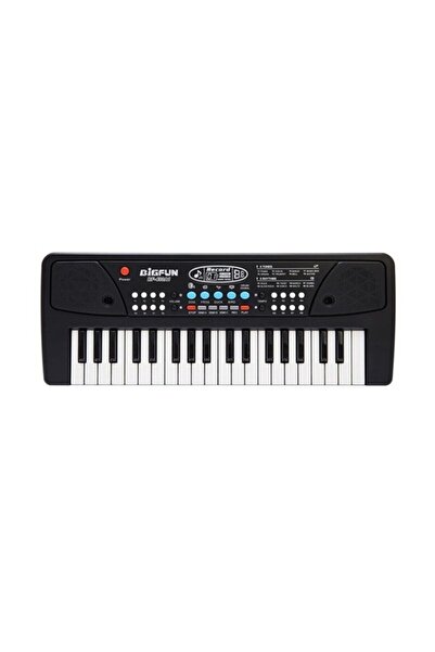 Flippy Electronic Organ with Microphone, Flippy, 37 Keys, Plastic, Sound Reco...
