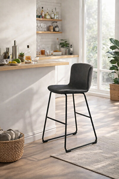 N.zone Upholstered chair with a black metal frame – a modern dining chair