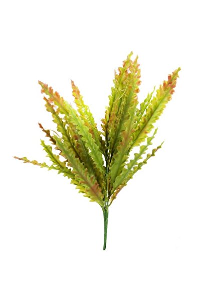 Goliat BUKIET PAPROCI 45 CM CIENIOWANE