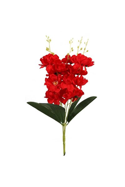 Goliat Bukiet 5 storczyków 58cm kolor czerwony