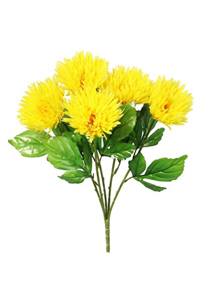 Goliat Bukiet 5 astrów w kolorze żółtym