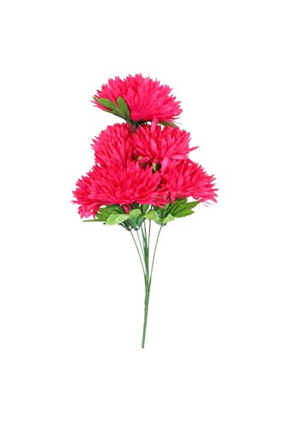 Goliat Bukiet 7 chryzantem strzępiastych w kolorze ciemnego różu