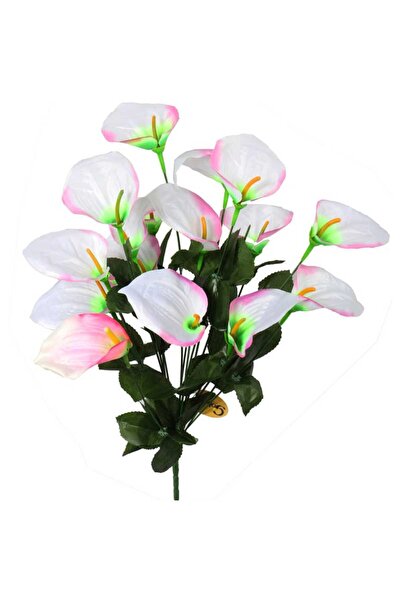 Goliat Bukiet 12 anturium w kolorze jasno-różowym