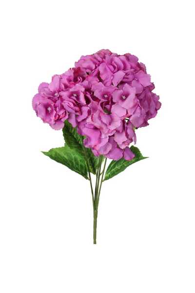 Goliat Bukiet 4 hortensji w kolorze bordowym