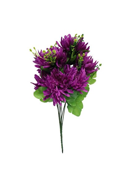 Goliat BUKIET CHRYZANTEM STRZĘPIASTYCH FIOLETOWYCH 35 CM Wysokość: 35 cm