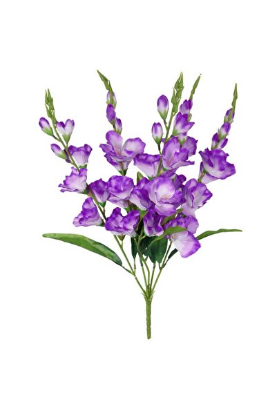 Goliat Bukiet 5 Fioletowych Gladiole o Wysokości 60 cm