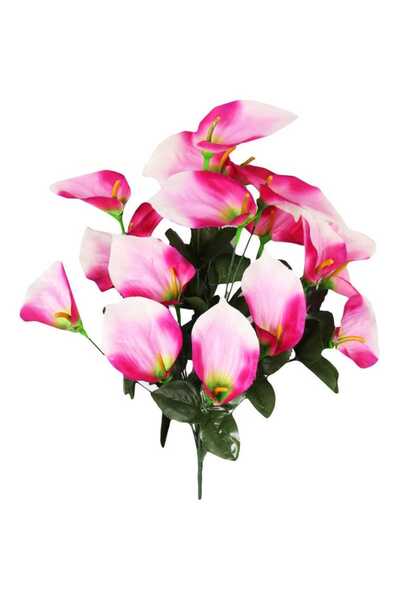 Goliat Bukiet 12 anturium w kolorze różowym