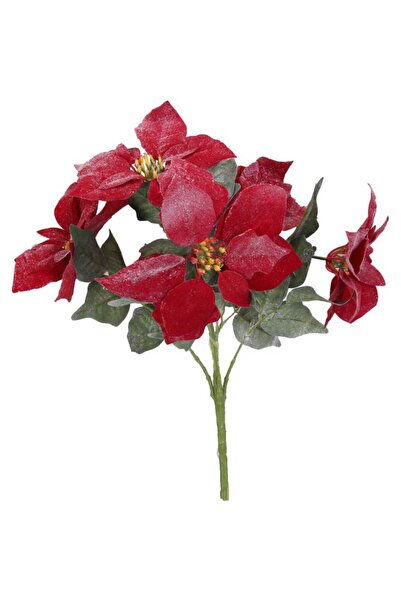 Goliat Świąteczny bukiet czerwonych, ośnieżonych poinsecji