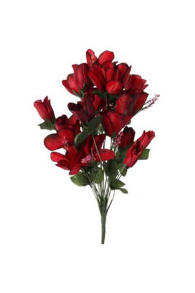 Goliat Bukiet 24 róż w kolorze bordowym z dodatkami