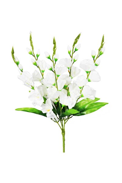 Goliat Pięć Białych Gladiole - Bukiet o Wysokości 60 cm