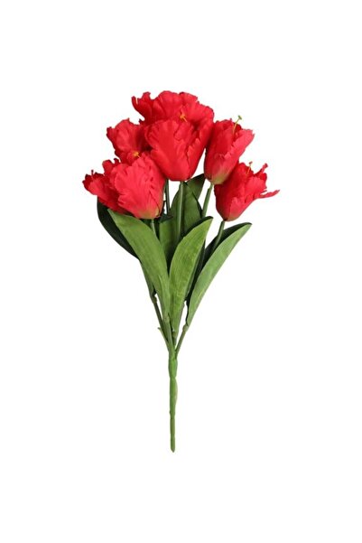 Goliat Bukiet 7 TULIPANÓW PAPUZICH 54 cm CZERWONY