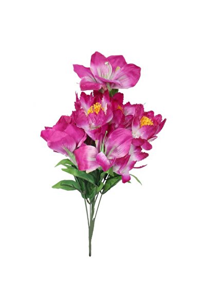 Goliat BUCĂTĂRIE DE 9 FLORI MIX LILIAC - AMARYLIS CULOARE MOV