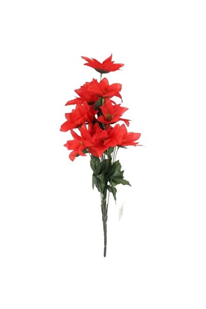 Goliat Buchet de 14 POINSECJI 44 cm CULOARE ROȘU