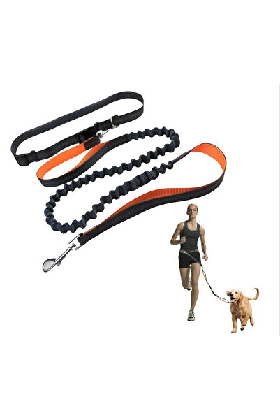 Other Dog Leash for Running and Walking - Extendable with Shock Absorber, Nyl...