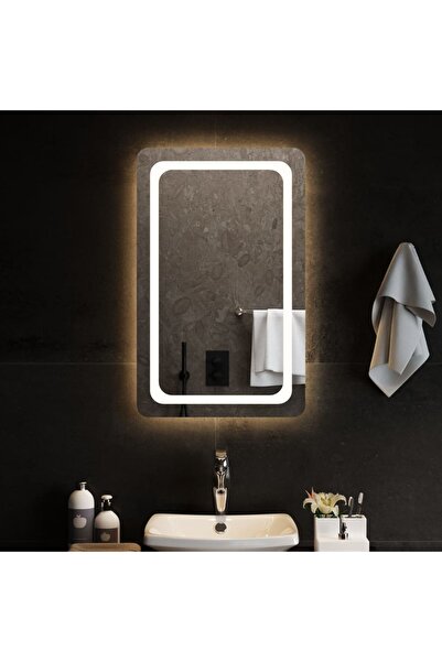 Concept Oglindă de baie cu LED, 50x80 cm