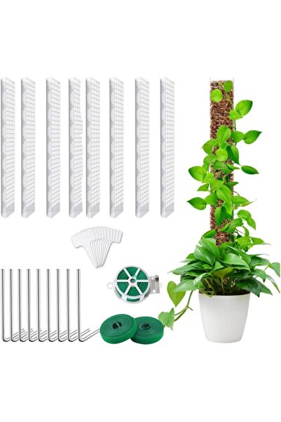 Other Bare Transparente Plante Agățătoare - Set 8 Bucăți, Plastic, 61 cm, Mon...