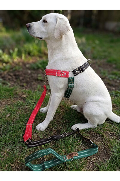 balkonda Dog Chest Harness Adjustable and Leash Set of 2 Medium & Large Breed...