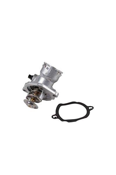 Other Thermostat 216